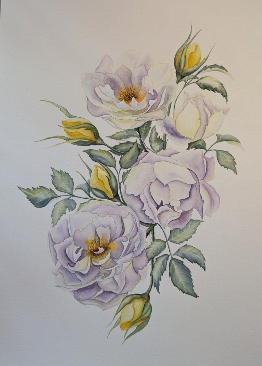 White garden roses