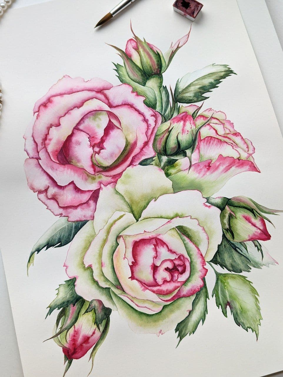 Eden Roses