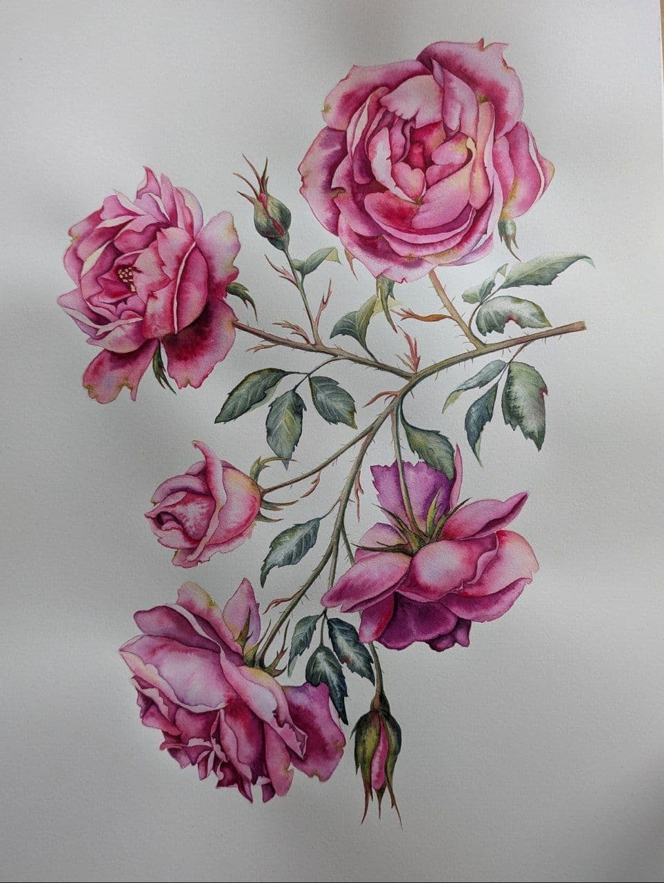 Tea Roses